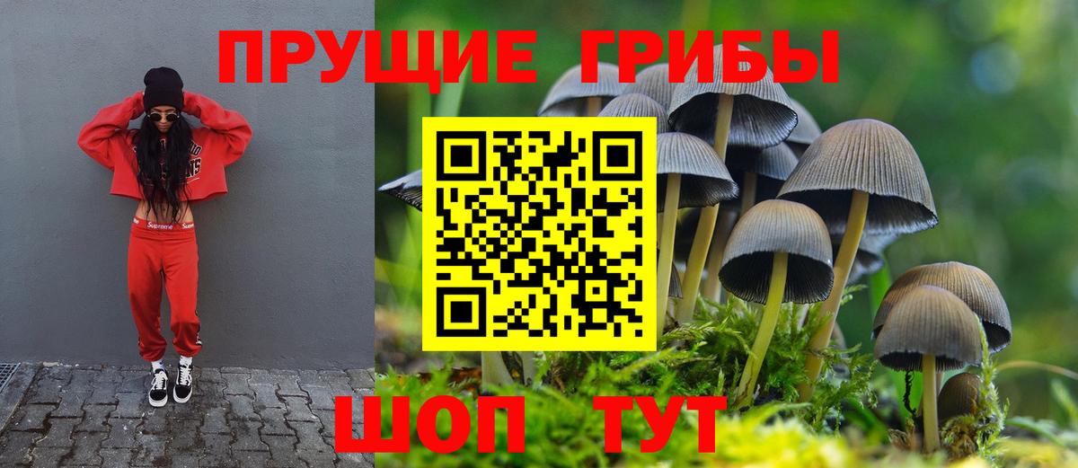 Губаха  Галлюциногенные грибы прущие грибы  Вход с VPN 