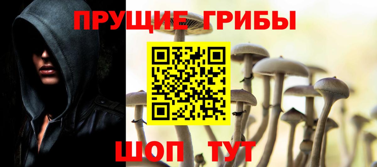 Псилоцибиновые грибы Cubensis Губаха